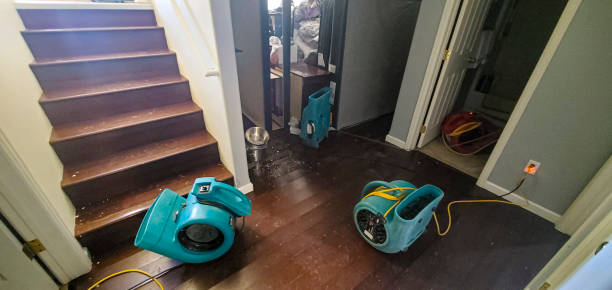 Best Water damage restoration near me  in Duncan, OK