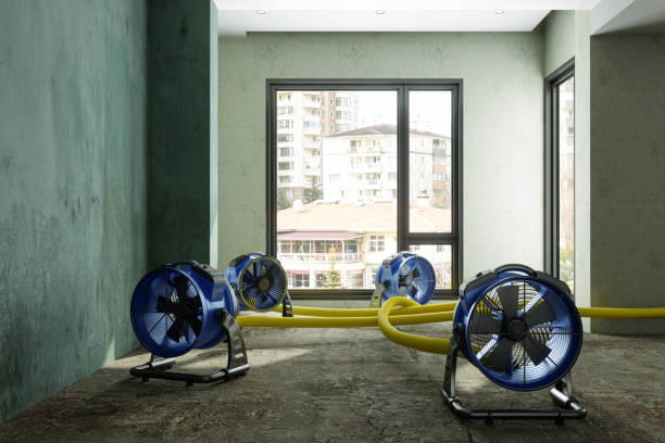 Best 24/7 water damage repair  in Duncan, OK